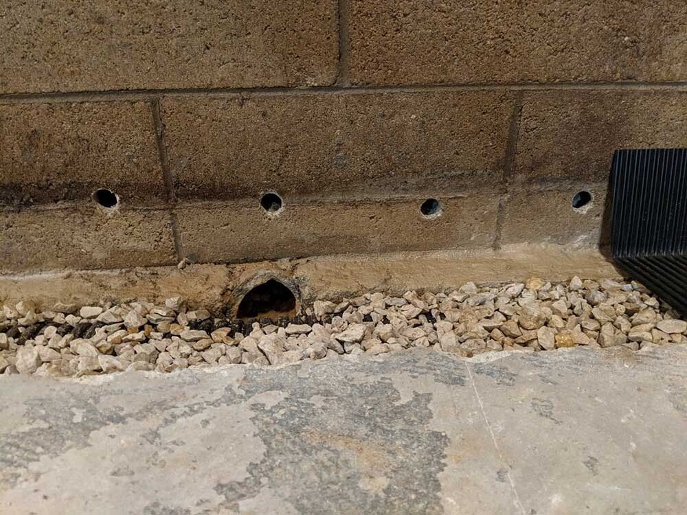 basement drain system A drain pipe is sitting on the ground next to a brick wall.