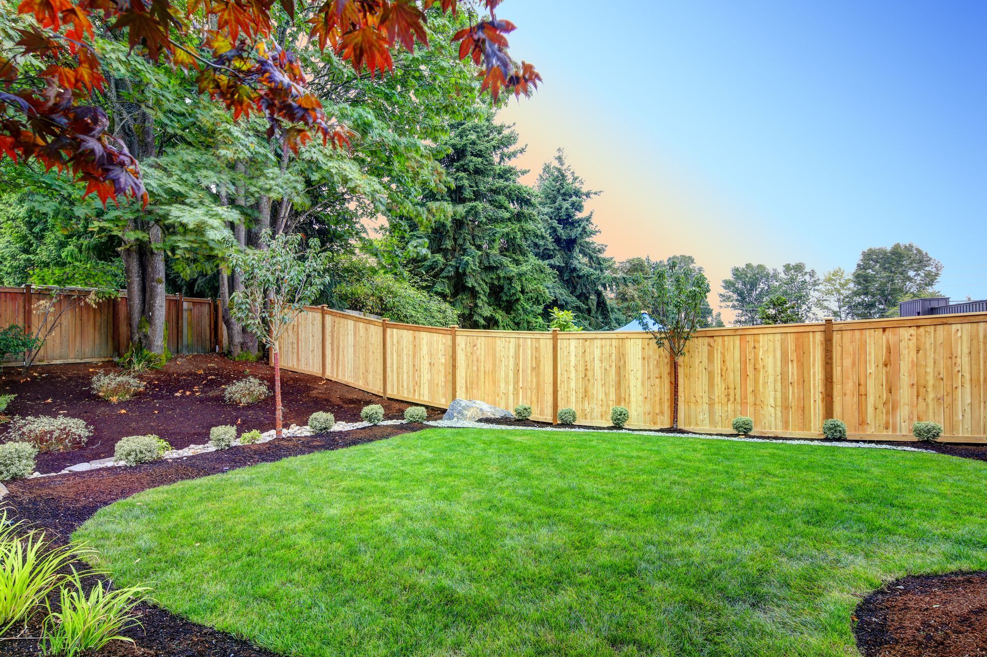 Backyard with green lawn, wooden fence, and autumn trees under a bright blue sky