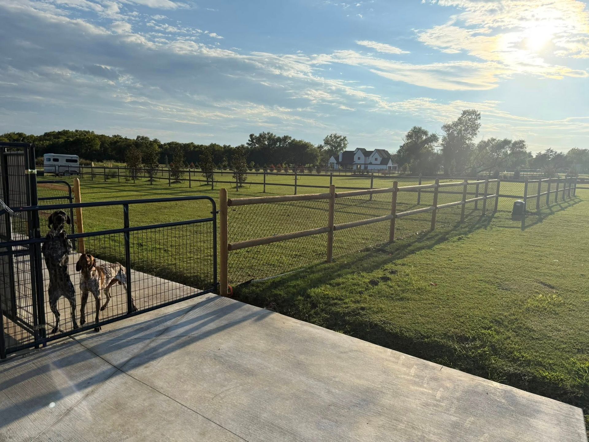 Grassy field with a wooden fence and gate, cloudy sky overhead. Two dogs stand by the gate.