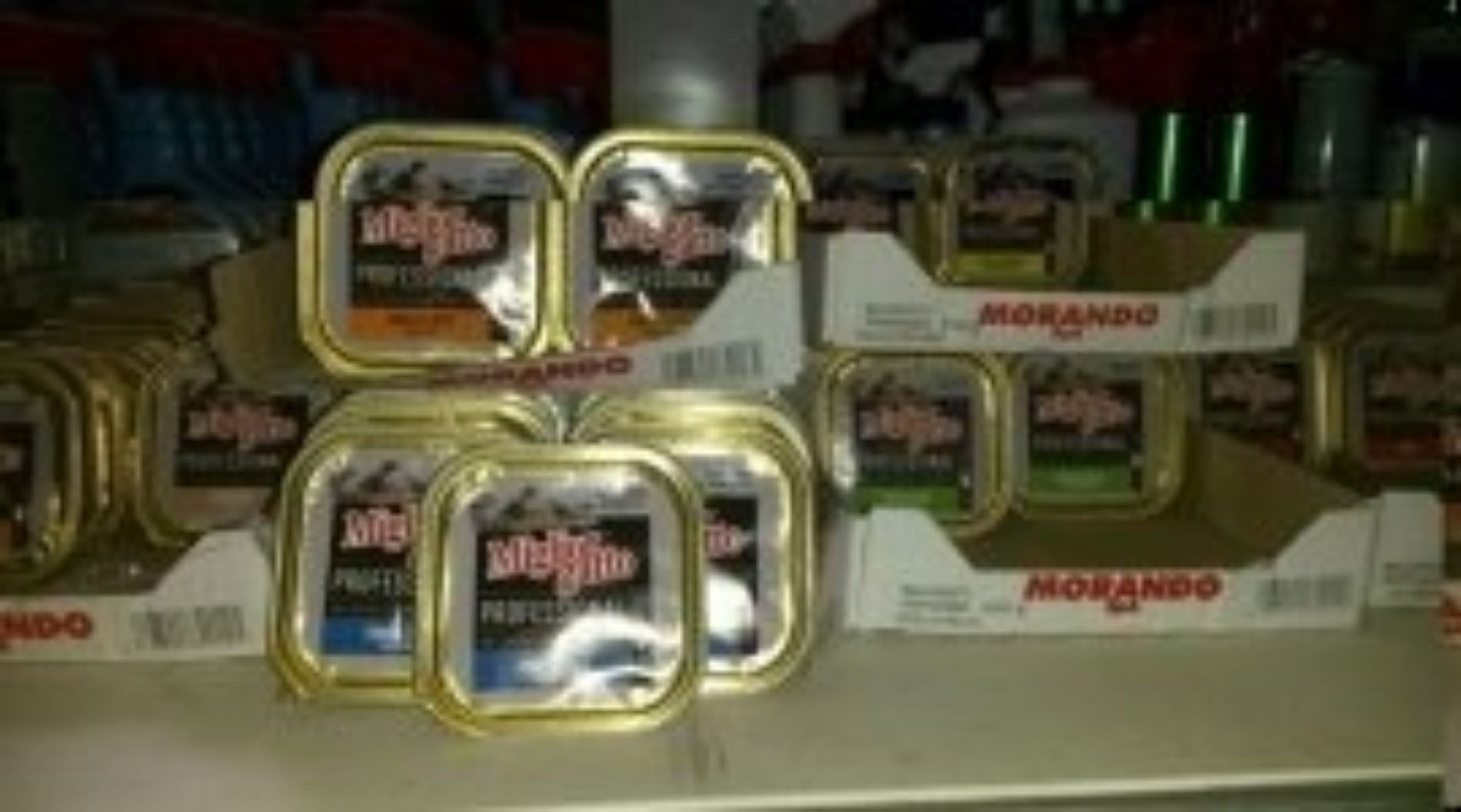 Cibo per cani e gatti