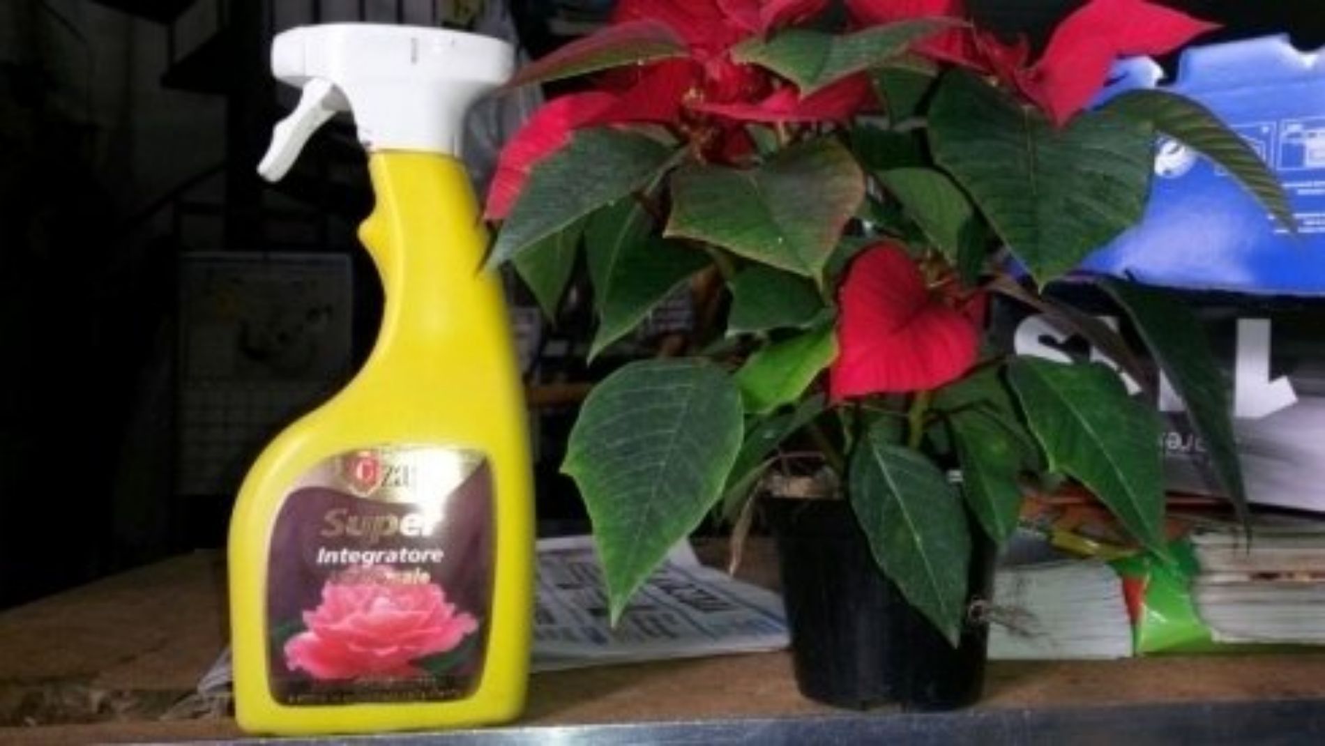 Fertilizzante liquido per fiori