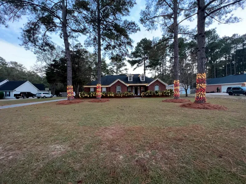 holiday lighting services