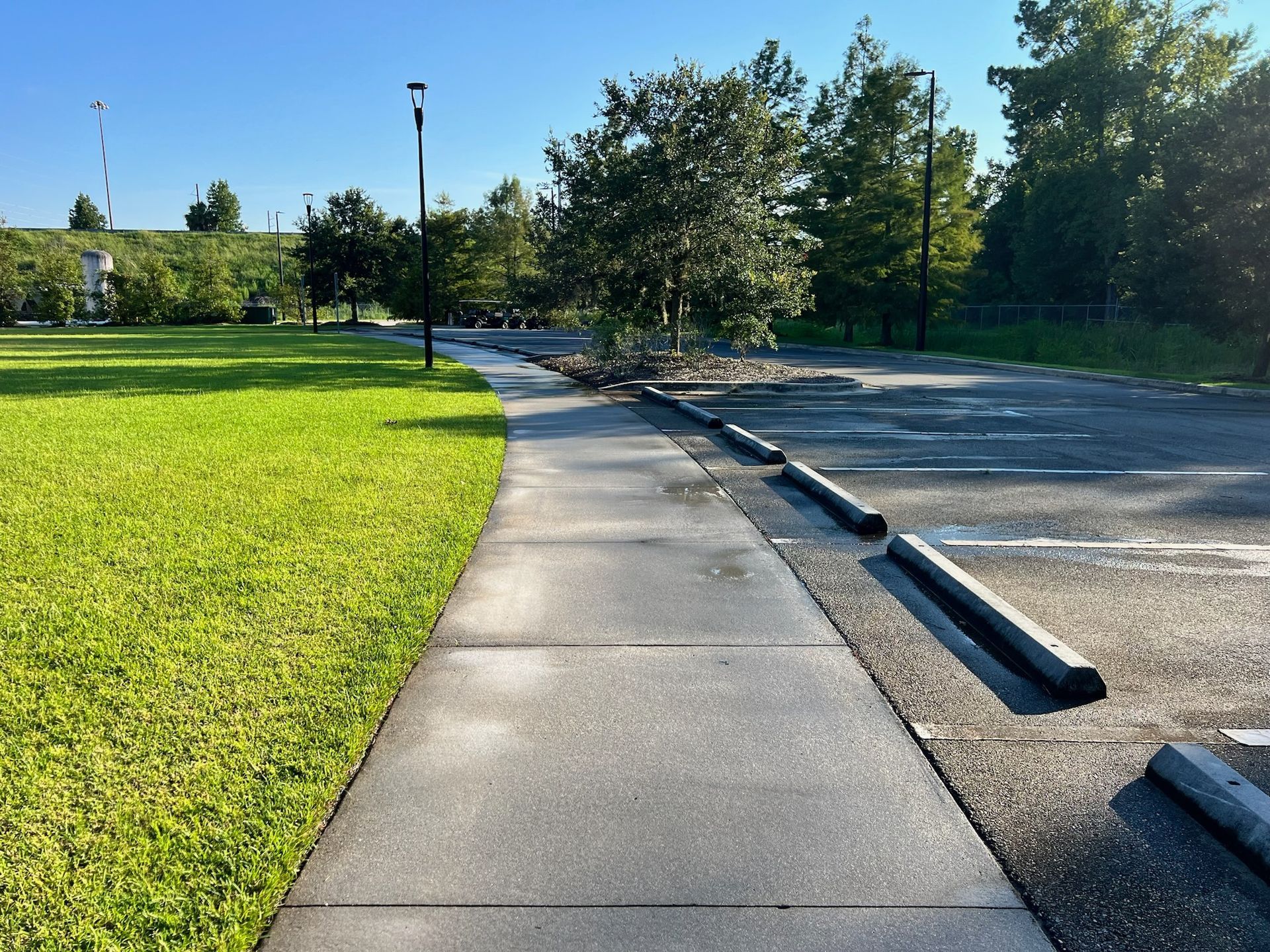 sidewalk stain removal