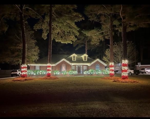 Christmas Light Installation