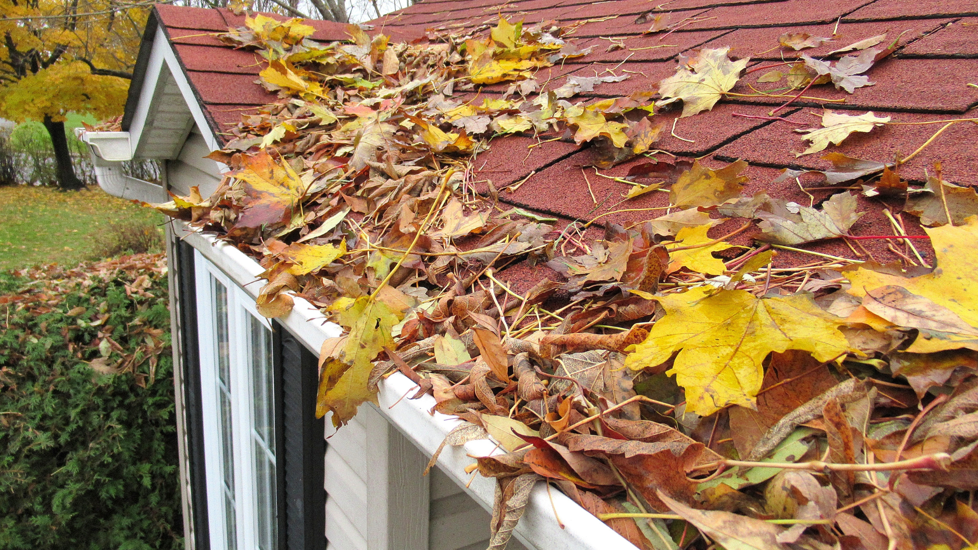 clogged gutters