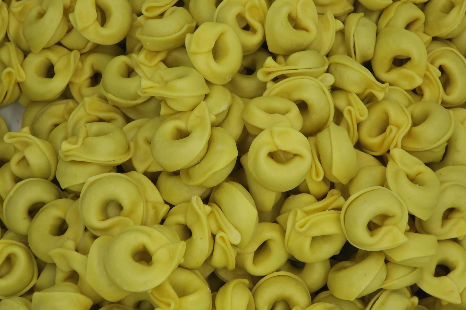 tortellini artigianali