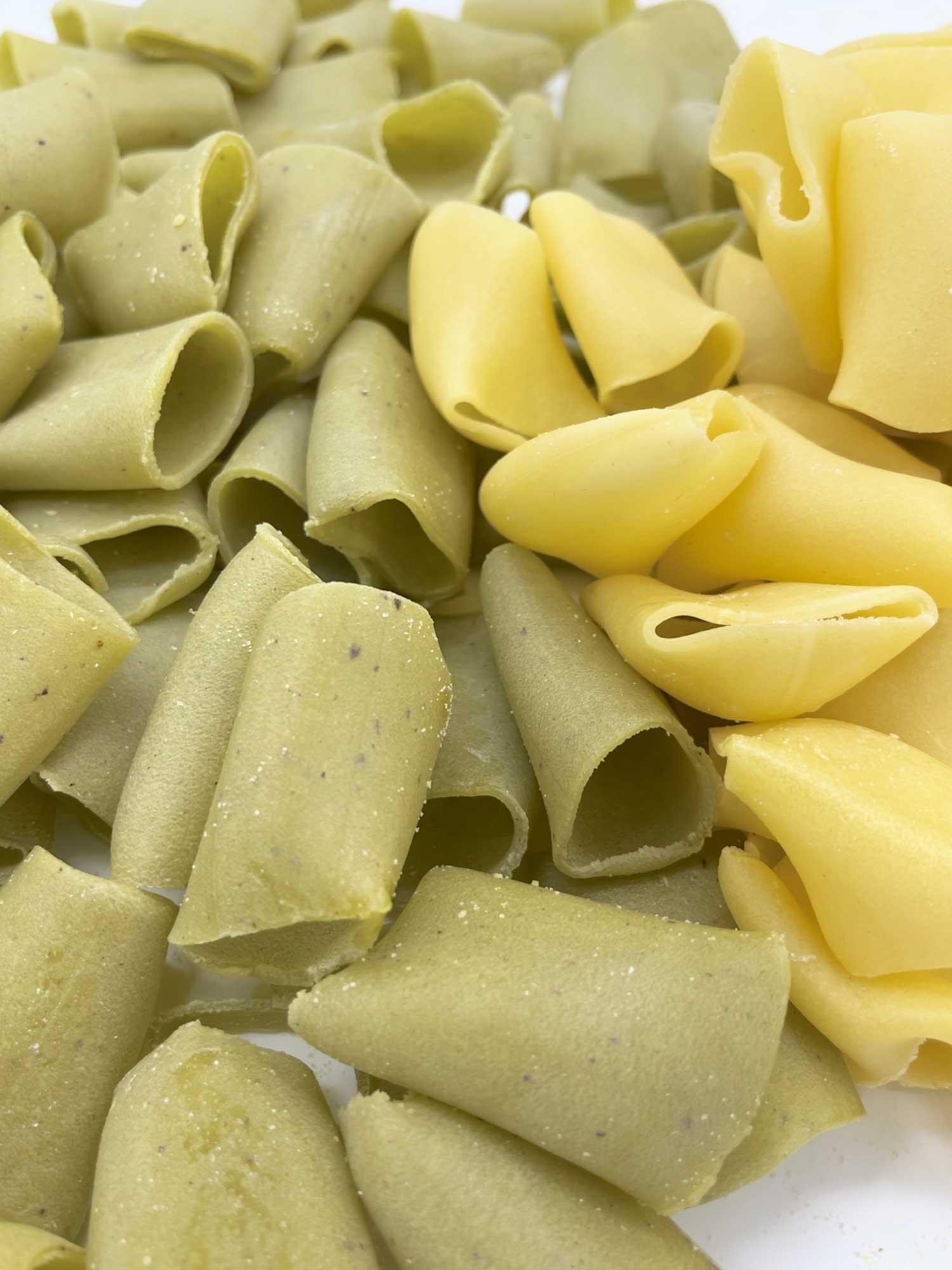 pasta corta fresca
