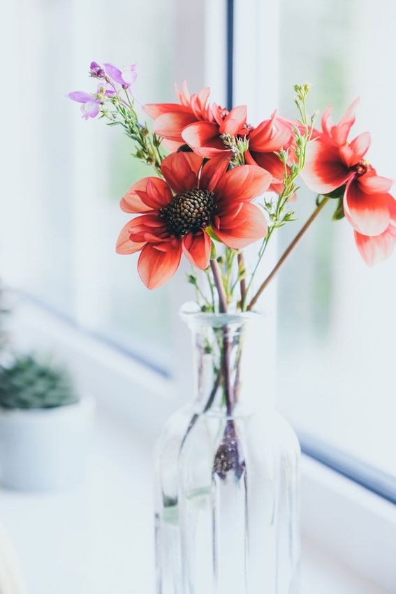 Photo of Flowers in a Vase
