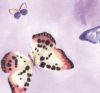 Transfer Papers — ​​Lt. Purple​ Butterfly in Dallas, TX