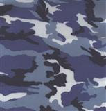 Plastic Sheets — Blue Camouflage in Dallas, TX