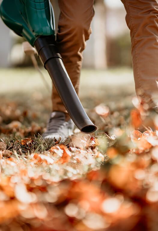 A person is blowing leaves in a yard with a leaf blower.