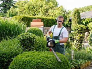 A man is cutting a bush with a hedge trimmer in a garden.