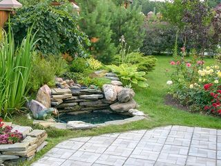 There is a small pond in the middle of the garden.