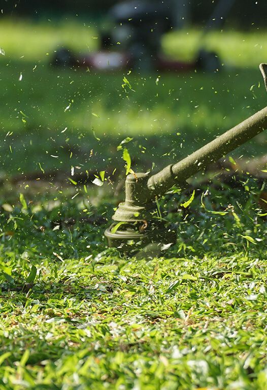 A person is using a lawn mower to cut the grass.