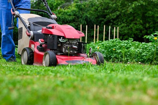 A man is using a red lawn mower to cut the grass.