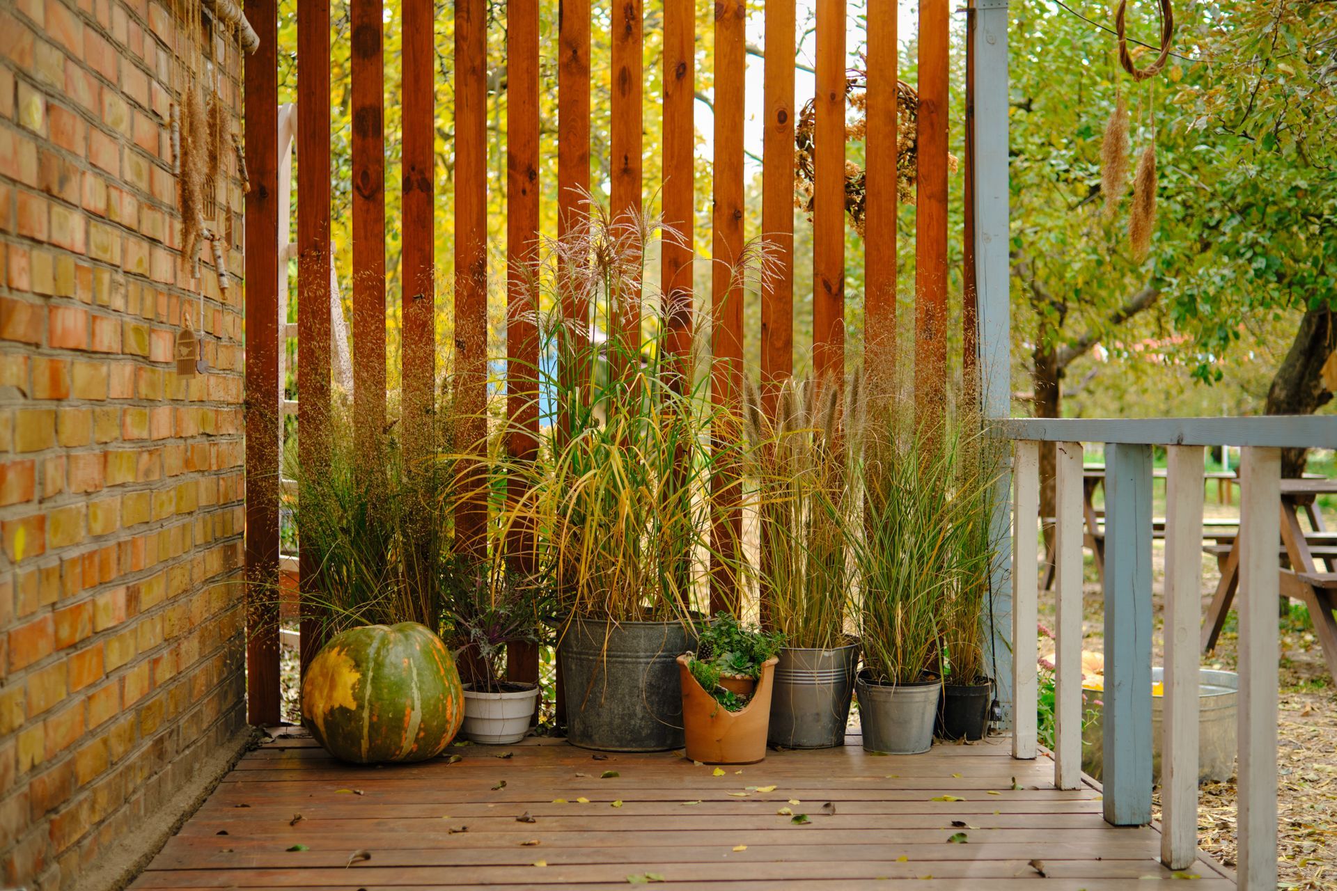 Wooden porch with plants in pots, pumpkin, and a vertical wood slat screen.