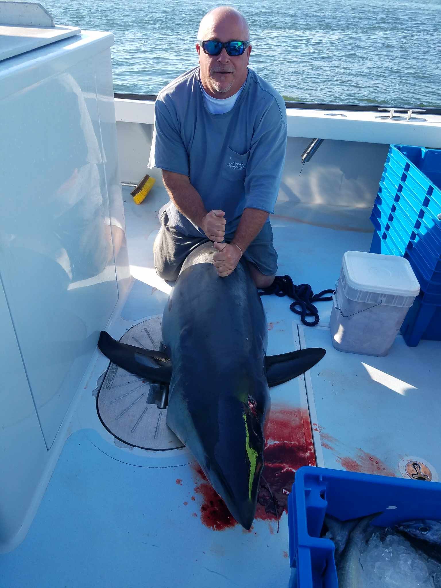Man on boat kneels over large fish, holding its head. Fish is dark blue, laying on deck, bloody.