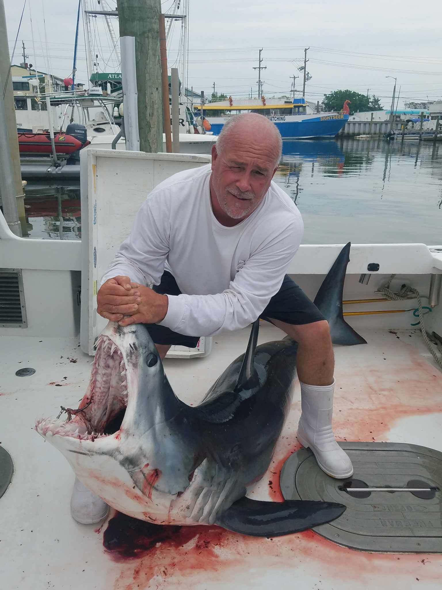 Man kneeling beside a large dead shark on a boat. Shark's mouth is open, showing teeth. Blood is visible. Background: water, boats.