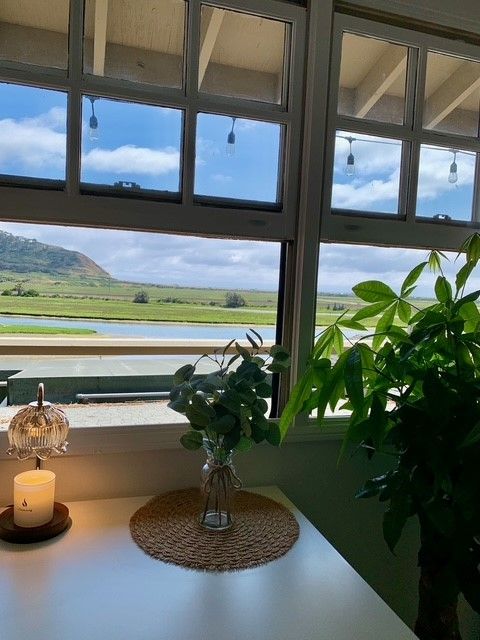A table with a candle and a plant in front of a window