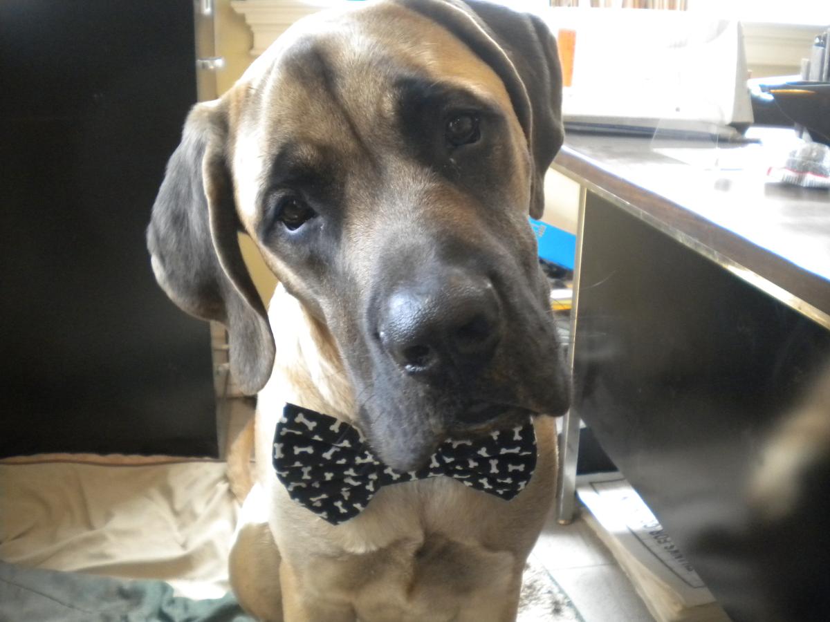 The Body Shop 110 LLC gallery