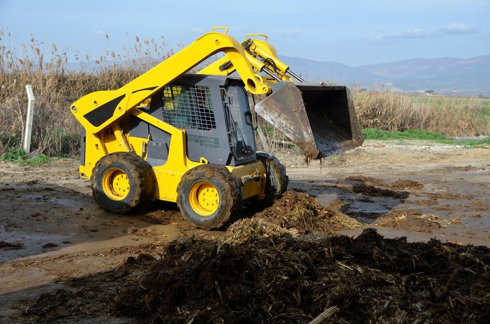 Yellow Skid Steer Loader With Bucket Scoops Up — Compass Equipment Hire in Woolgoolga, NSW