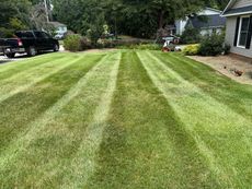 Lawn with stripes of freshly cut grass; a black truck and a lawnmower are visible.