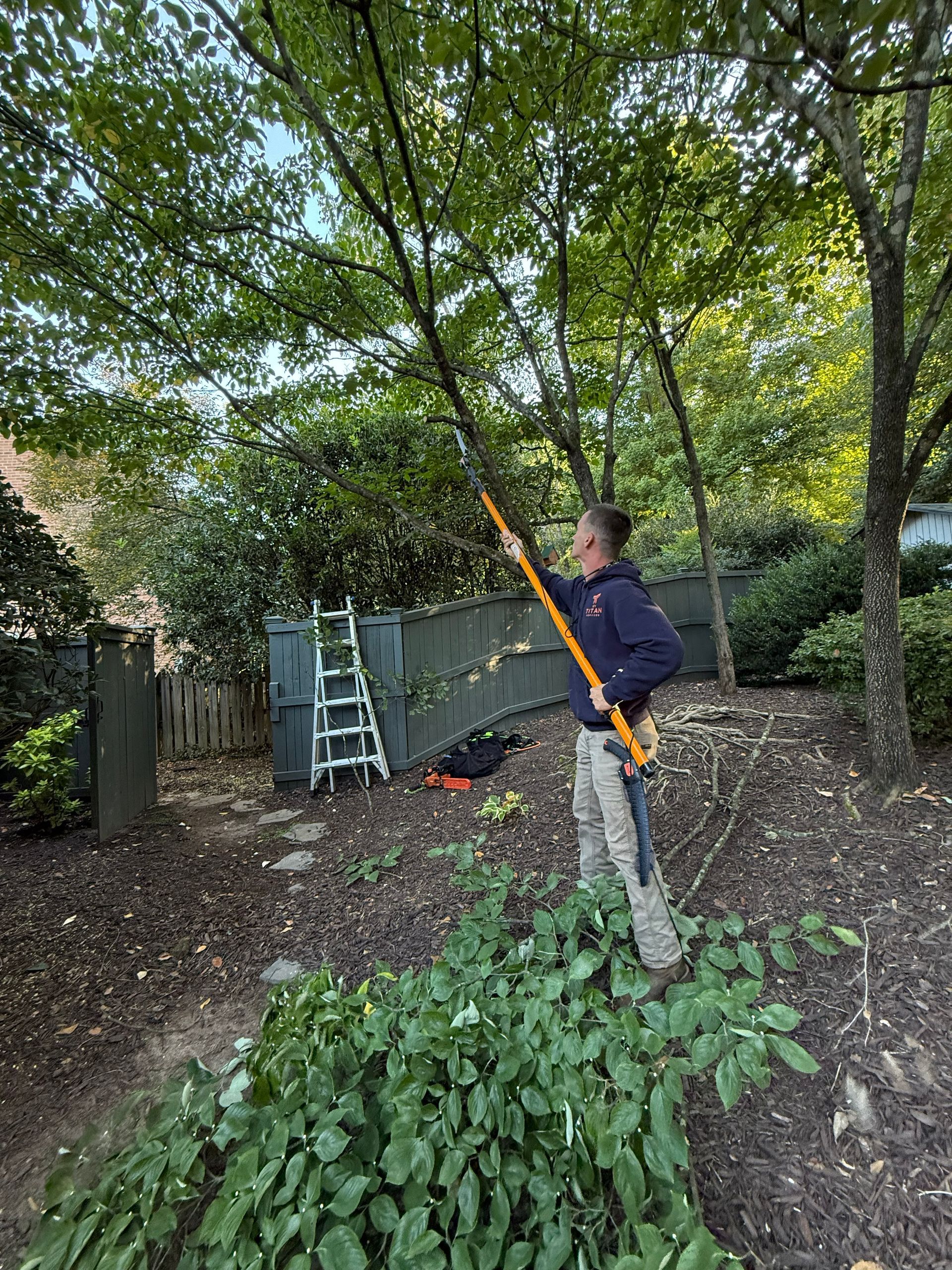 Arborist in harness, trimming a tree next to a house under a blue sky.