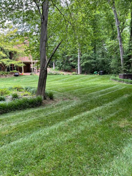 Green lawn with freshly cut stripes, trees, and a wooden deck in the background.