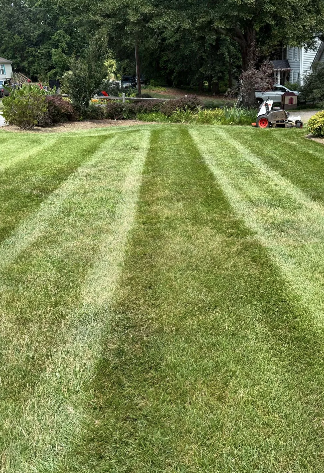Lawn with alternating stripes, mowed and unmowed, with lawnmower visible in the distance.