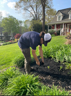 A curved concrete planter bed filled with various plants in front of a light gray house, with a green lawn.