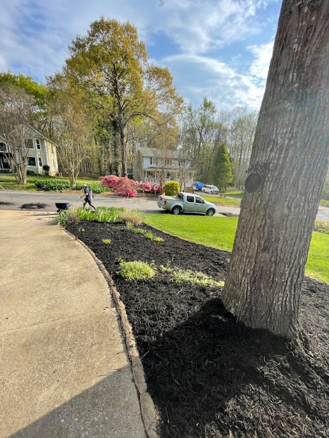 Landscaped yard with tree, rocks, and various plants. Brown mulch covers the ground. House and gate in background.
