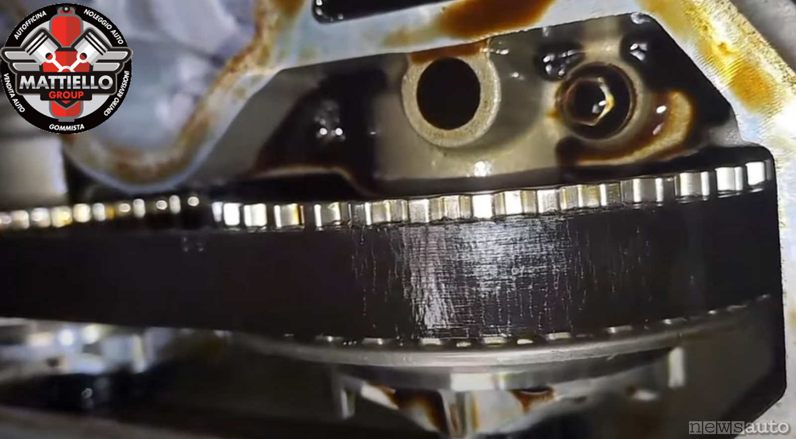 Cinghia in bagno d'olio