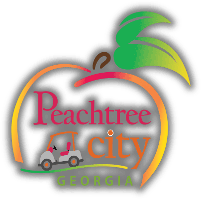 Peachtree City, GA website design