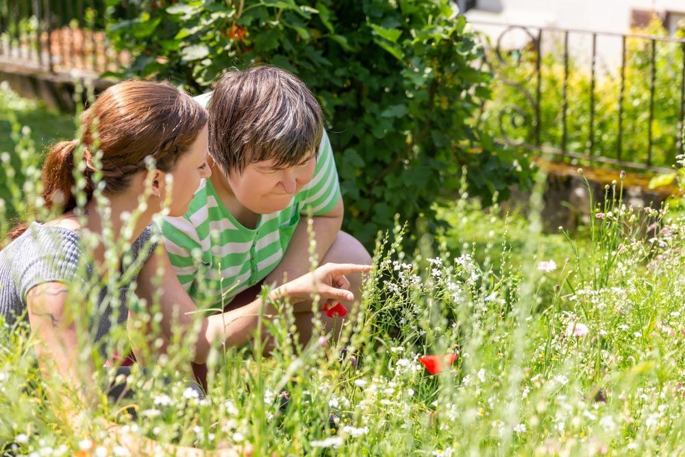 Two Women Are Looking at Flowers in a Garden — Learn to Live in Currajong, QLD