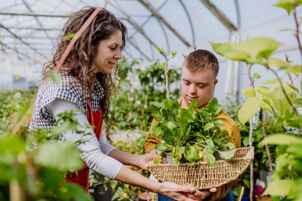 A Woman and Man Holding a Basket Filled With Various Plants — Learn to Live in Hermit Park, QLD