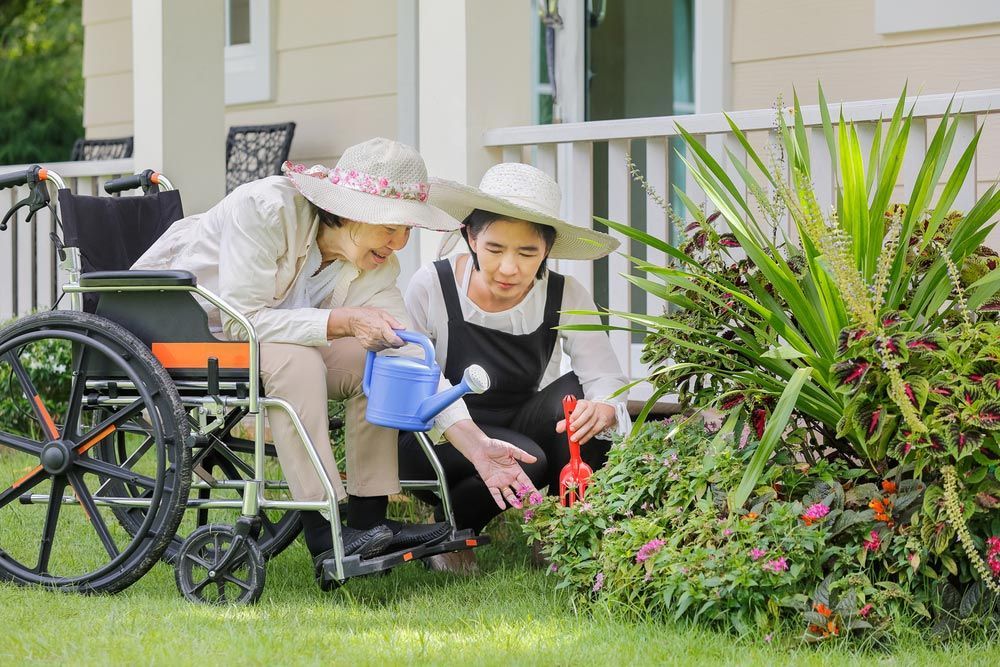 A Woman in a Wheelchair is Watering Flowers With a Little Girl — Learn to Live in Mundingburra, QLD