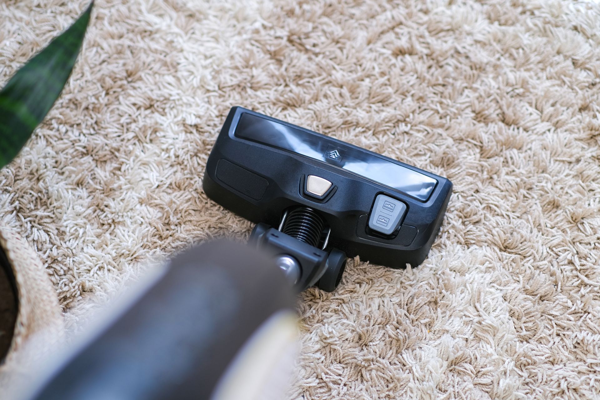 Vacuum cleaner head cleaning a beige carpet.