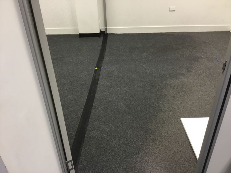 View from doorway into a room with gray carpet and a black seam.