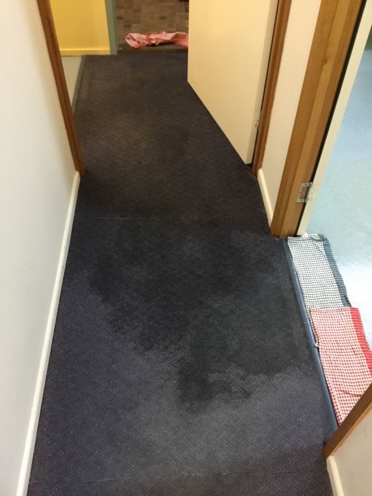 Dark blue carpet in hallway, wet patch near doorway.