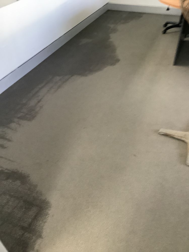 Gray carpet with a large, dark stain near a white wall in an office.
