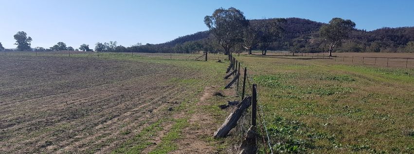 Fence In The Middle Of A Field With A Mountain In The Background — Surveyor In Canowindra, NSW
