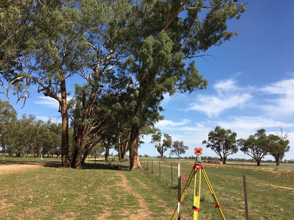 Field With Big Trees And Tripod In The Middle for Surveying — Surveyor In Canowindra, NSW