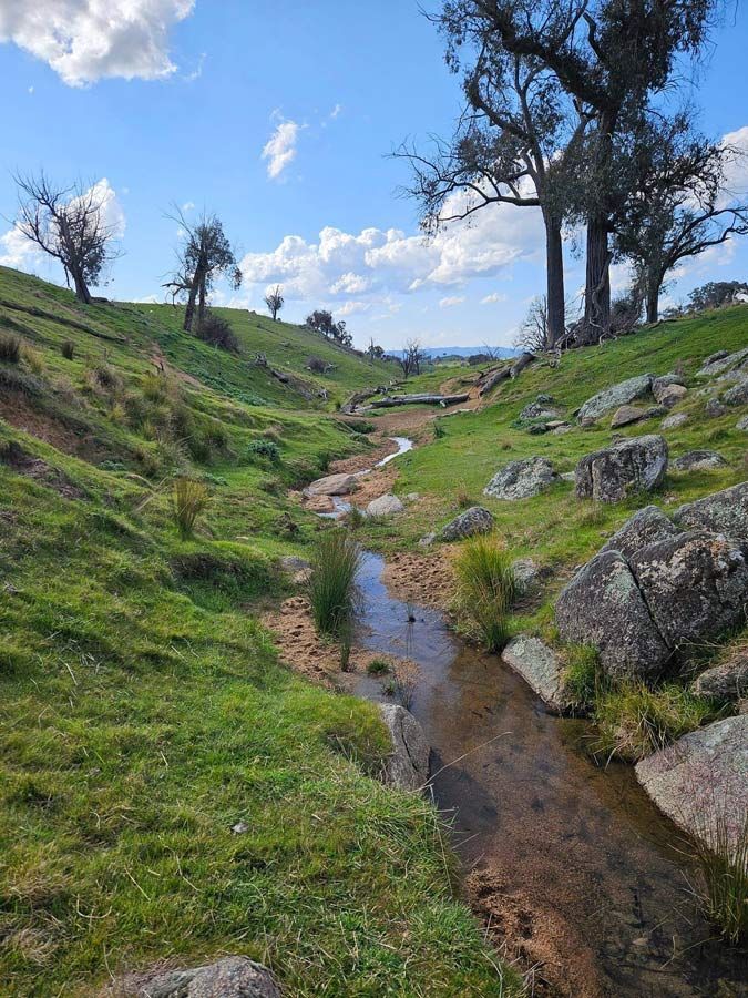 Grassy Hillside With Rocks and Canal in Between Them — Surveyor In Canowindra, NSW