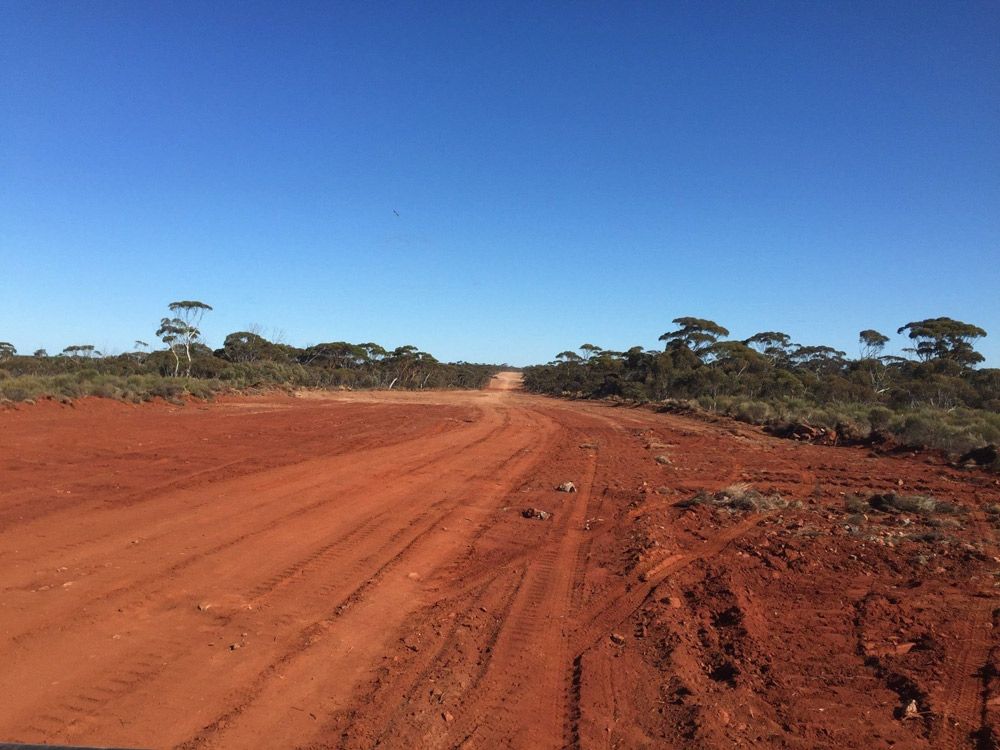Open Land Construction Area With Trees — Surveyor In West Wyalong, NSW