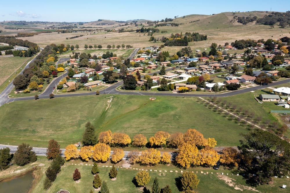 Aerial View Of A Residential Area With Houses And Trees — Surveyor In Blayney, NSW
