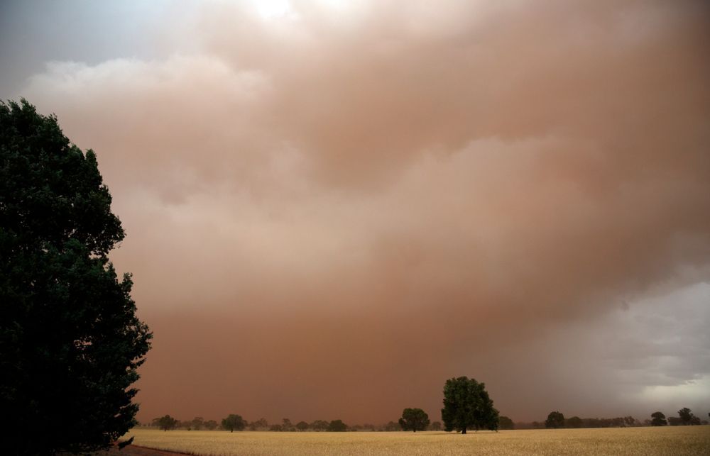 Scenic Landscape: Cloudy Sky Over a Field with Trees — Surveyor In Condobolin, NSW