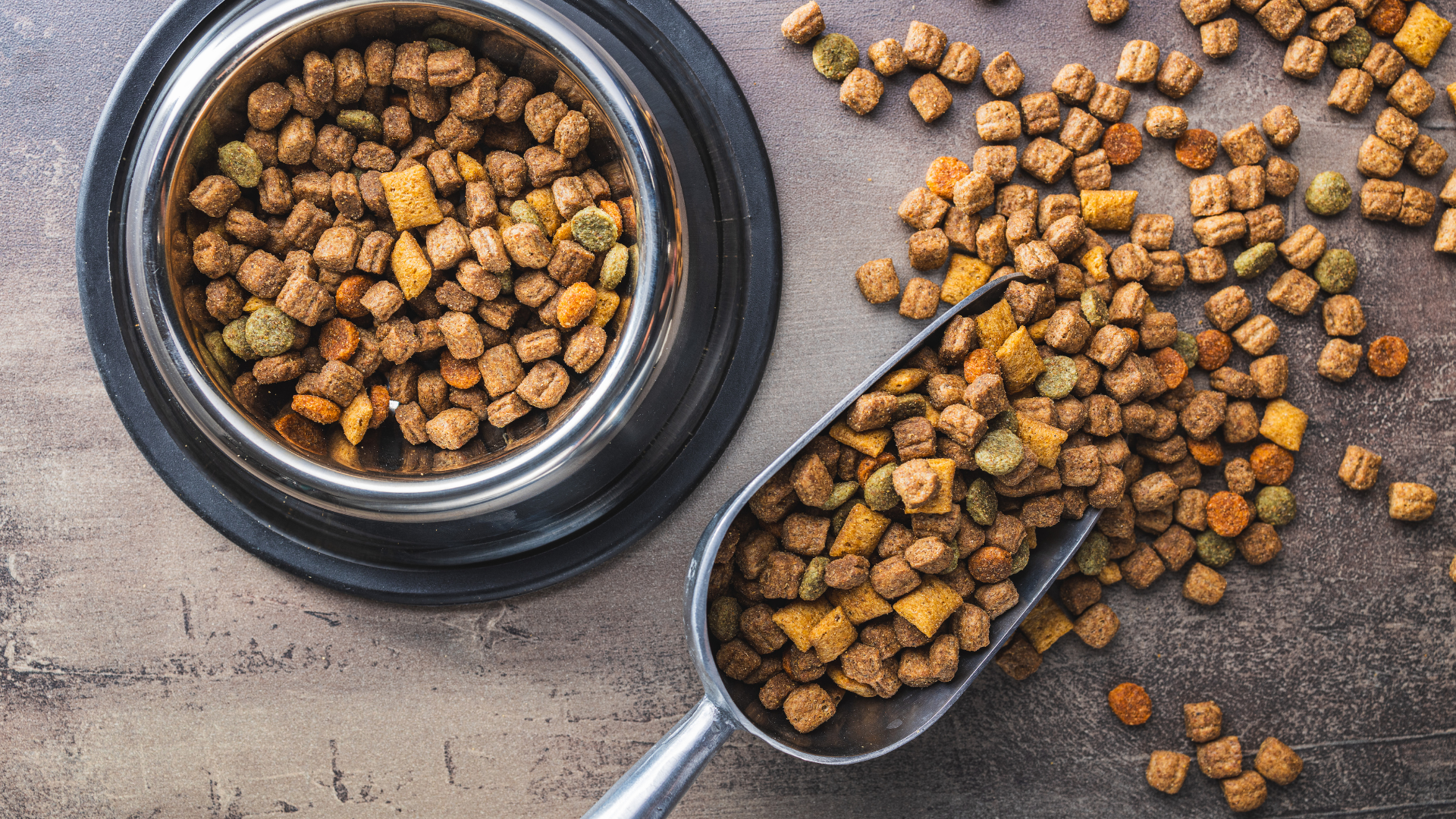 A bowl of dog food and a scoop of dog food on a table.