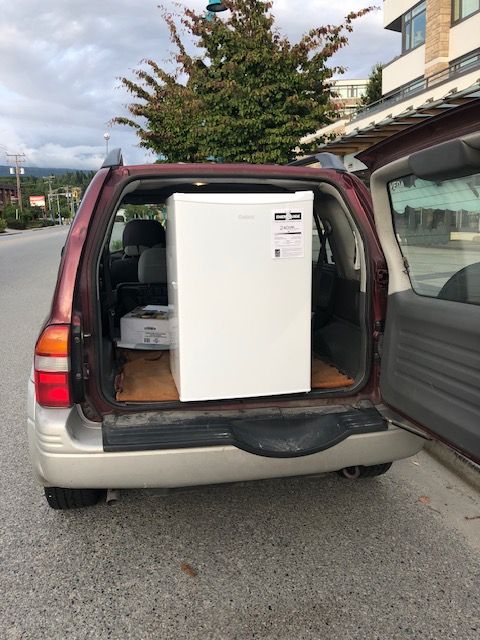 A bunch of tools are hanging on a rack in a store.