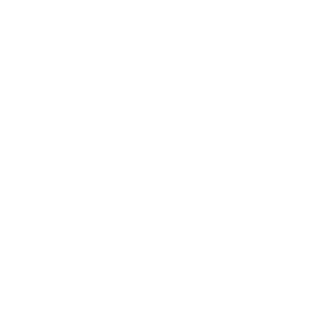 Dylan's Ice Cream
