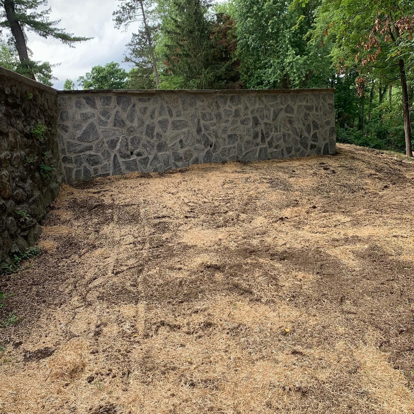 There is a stone wall in the background and a pile of dirt in the foreground.